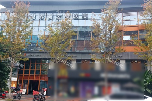 成都悦龄美之肤医疗美容外景图