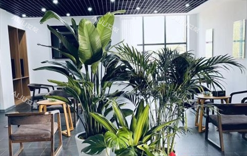 沈阳笙泽植发休息区 沈阳笙泽植发休息区