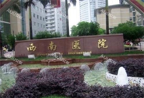 重庆<span class='highlight'>西南</span>医院门头图
