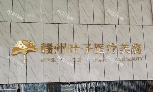 江西赣州叶子医疗美容医院logo