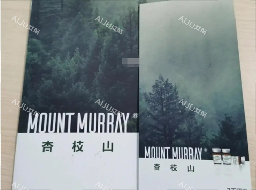 杏枝山宣传册展示