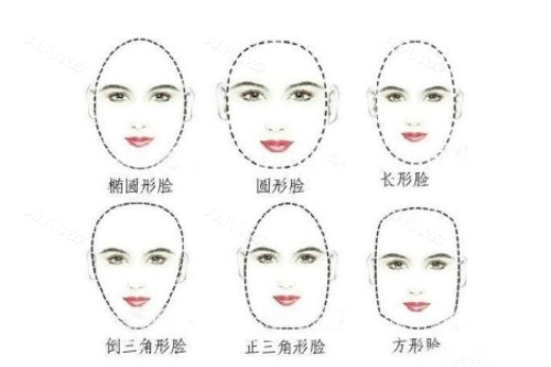 各种脸型卡通展示图 各种脸型卡通展示图