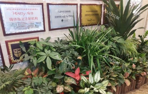 呼和浩特京美整形荣誉墙环境图 呼和浩特京美整形荣誉墙环境图