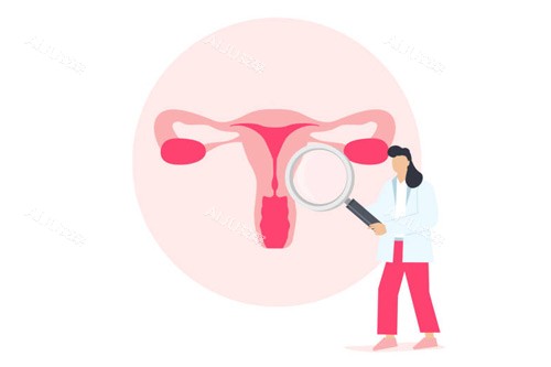 女性私密处卡通图 女性私密处卡通图