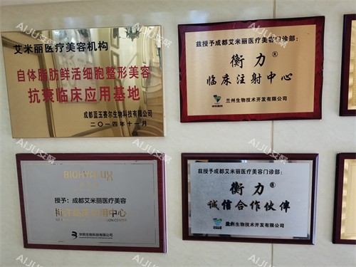 成都艾米丽荣誉墙 成都艾米丽荣誉墙