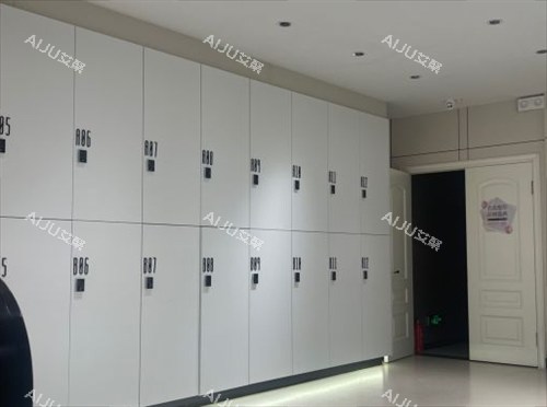 沈阳名流整形衣物寄存柜 沈阳名流整形衣物寄存柜