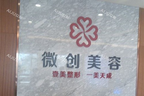 淄博壹美整形LOGO名称示意图 淄博壹美整形LOGO名称示意图