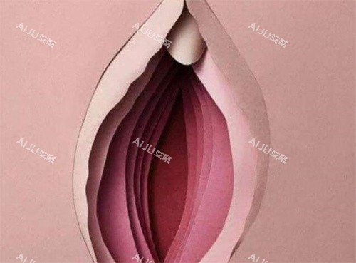 处女膜抽象演示图 处女膜抽象演示图