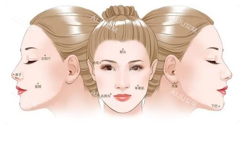 耳基低韧带提升部位示意图 耳基低韧带提升部位示意图