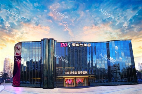 云南昆明铜雀台医疗美容外观