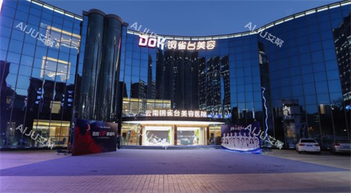 云南昆明铜雀台医疗美容门头