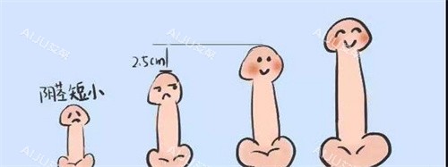 阴茎长度对比动画图