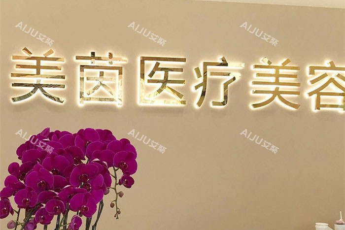 成都美茵医疗美容logo墙