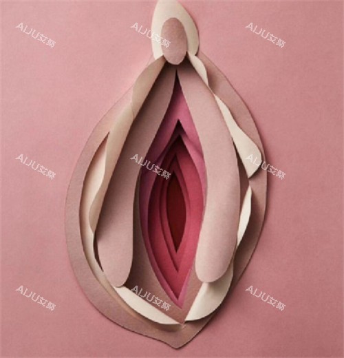 女性私密部位美观的样子图片 女性私密部位美观的样子图片