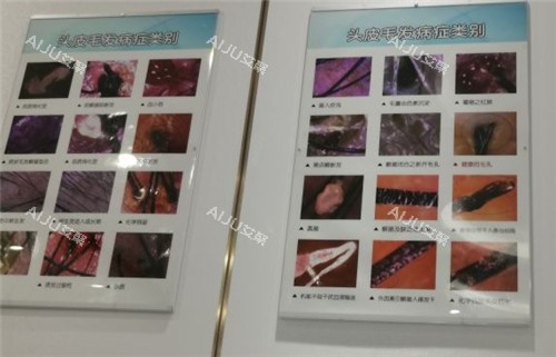 泉州重森植发展示区