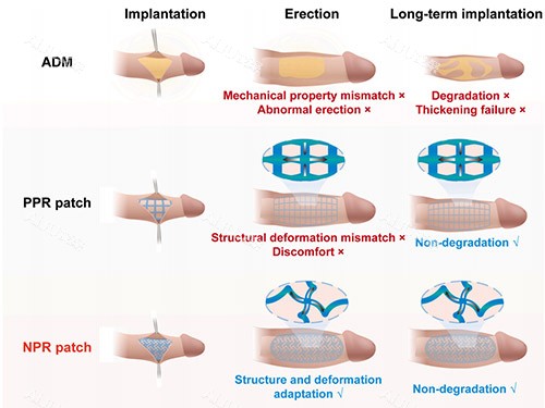 男士增大增粗男科找