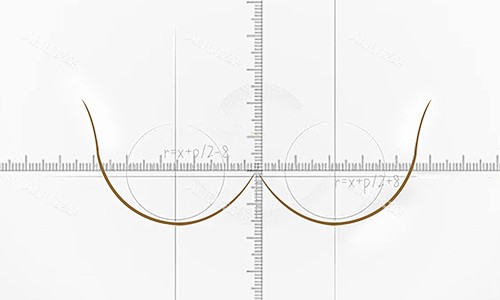 胸部比例抛物线展示