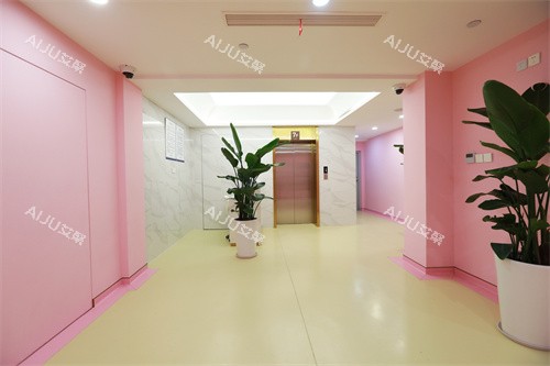 上海联合丽格整形医院室内一角 上海联合丽格整形医院室内一角