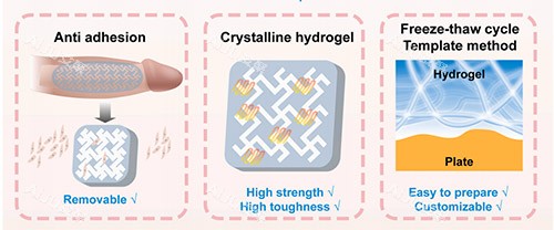 生物补片增大增粗照片