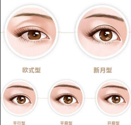 一文概览：双眼皮哪种型更好看？平行型/开扇型/新月型/欧式等眼皮特征一览，看完就知道怎么选