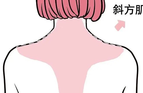 抽脂后还会在胖起来吗？不控制饮食与运动，都可能是肥胖的温床