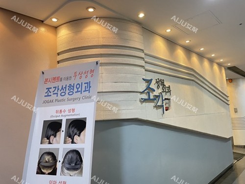 韩国雕刻整形外科