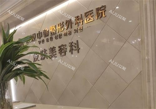 武汉中翰整形logo