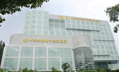 成都画美紫馨整形医院建筑示意图