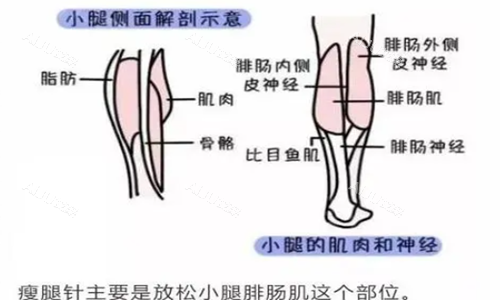 <span style=