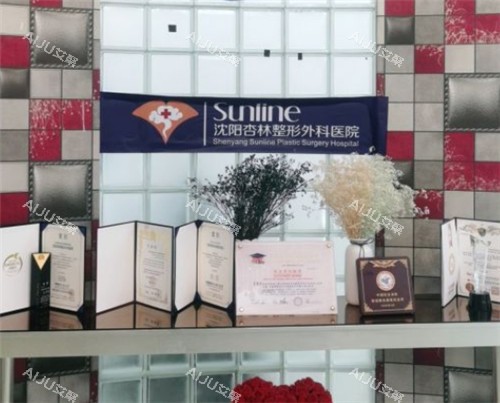 双手奉上!沈阳杏林医院做隆鼻手术怎么样?塑造精美小翘鼻,隆鼻医生+隆鼻价格给你