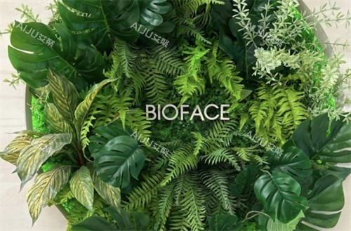 韩国bioface皮肤科logo墙 韩国bioface皮肤科logo墙