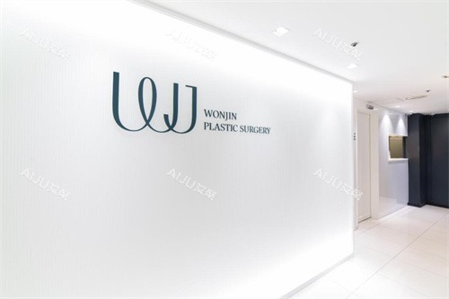 韩国WJ原辰整形logo图