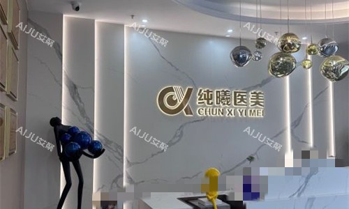 成都纯曦整形前台展示图