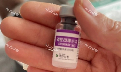 韩国溶解酶