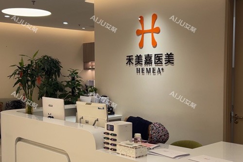 北京禾美嘉前台图