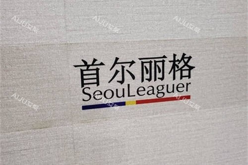 上海首尔 丽格医疗美容医院品牌图