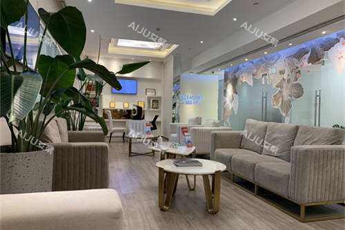 上海首尔 丽格医疗美容医院休息处沙发 上海首尔 丽格医疗美容医院休息处沙发