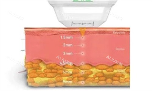 双逆博士 双逆博士