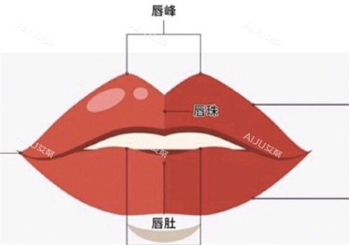 嘴唇的唇峰