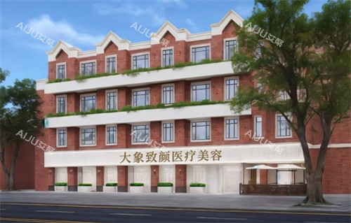 成都高新大象致颜医疗美容外观