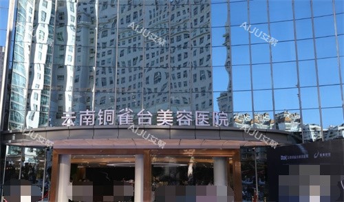 云南铜雀台整形外观图