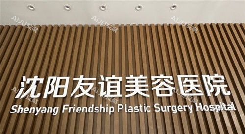 沈阳友谊整形logo墙