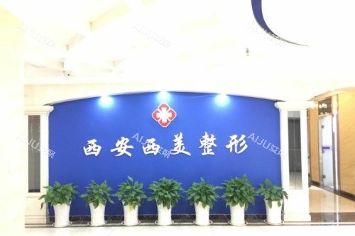 西安西美整形李世民医生技术好不好？全方面揭秘其技术背景与口碑