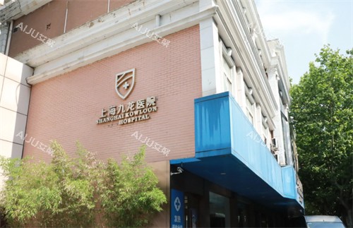 上海九龙医院logo