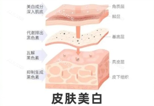 皮肤美白