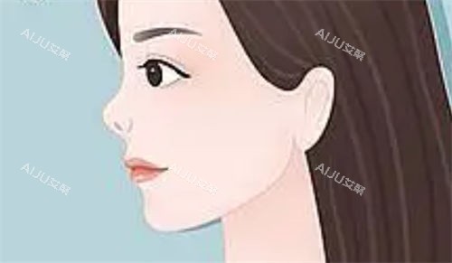 朝天鼻侧面动画展示图