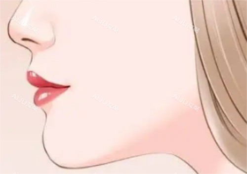 下巴示意图