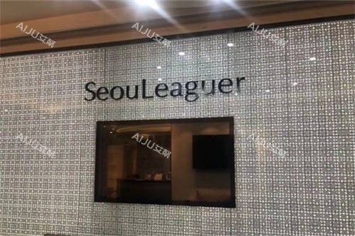 上海首尔 丽格医疗美容医院品牌墙