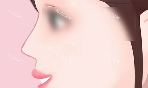 直鼻动画图.