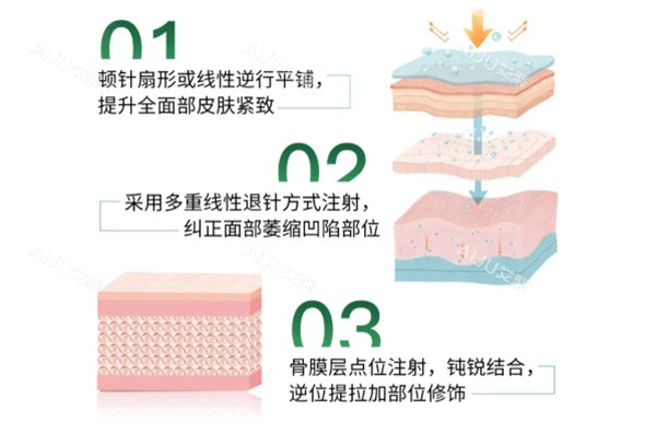 艾维岚注射皮肤层级图片